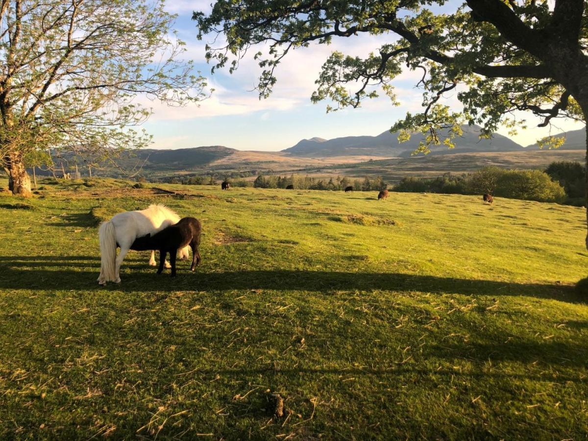 3 Bedroom Log Cabin In Snowdonia Nr Mtb Trails Tanygrisiau Екстериор снимка