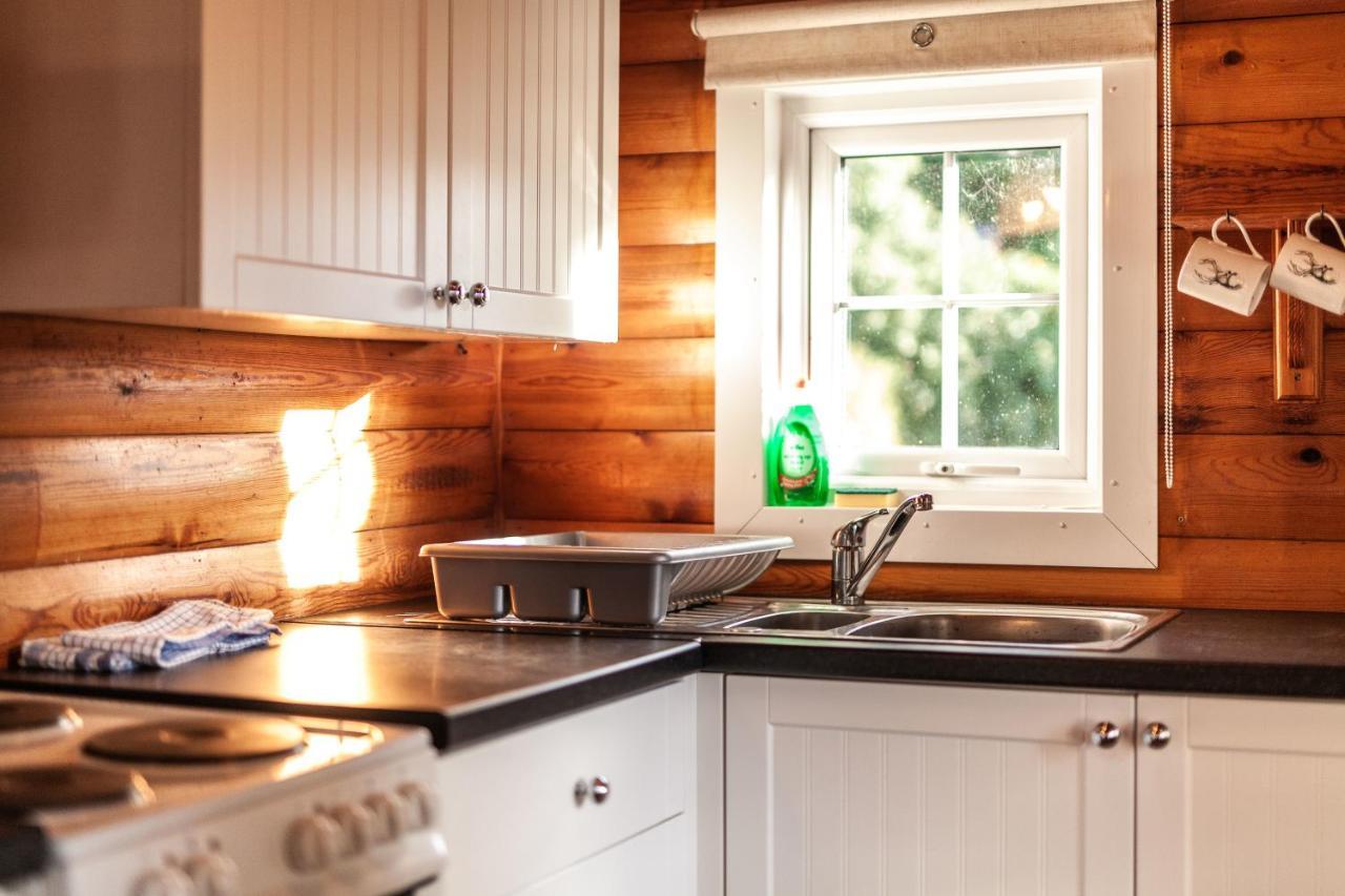 3 Bedroom Log Cabin In Snowdonia Nr Mtb Trails Tanygrisiau Екстериор снимка