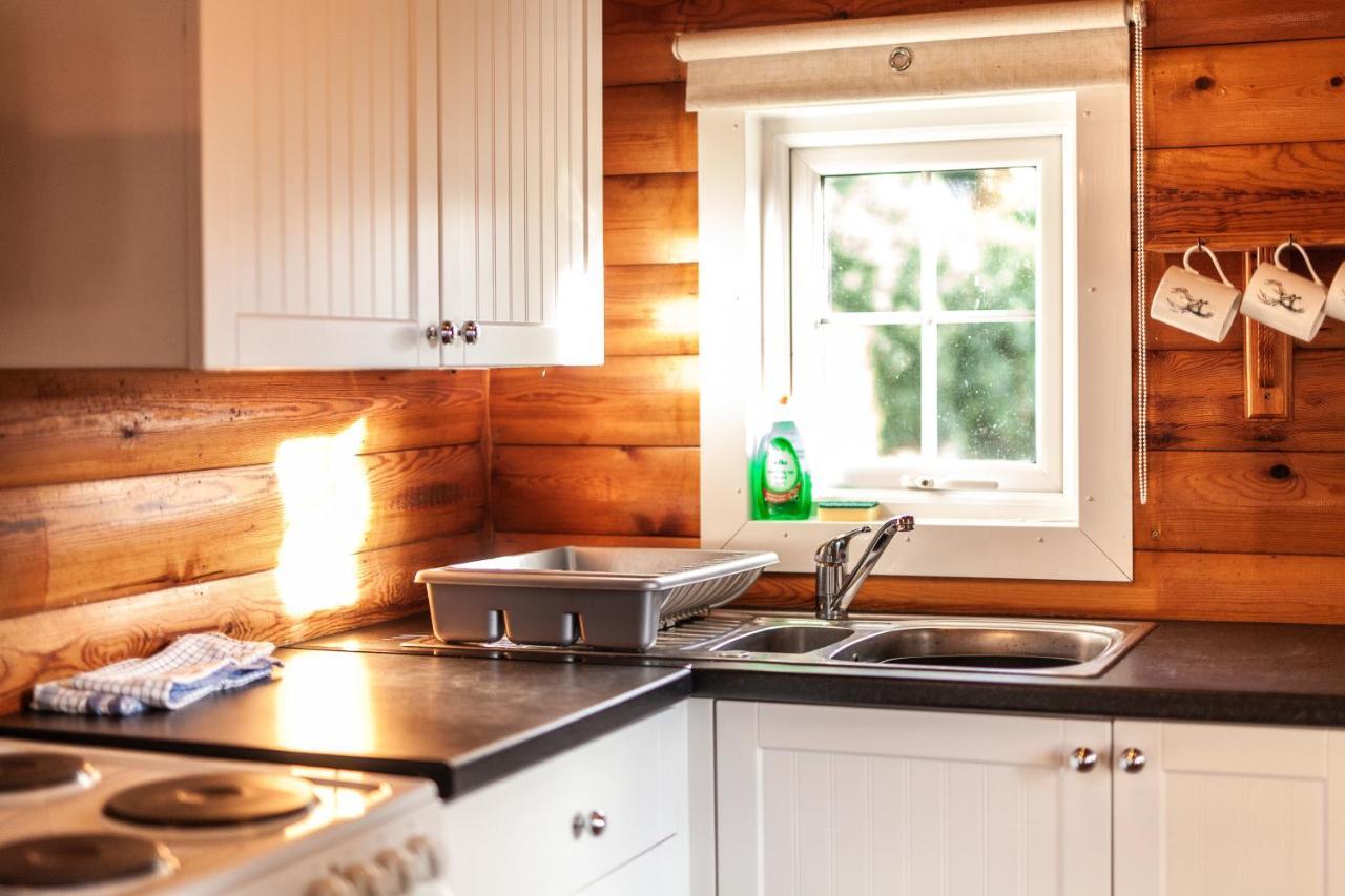 3 Bedroom Log Cabin In Snowdonia Nr Mtb Trails Tanygrisiau Екстериор снимка